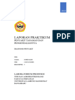 Laporan 1 Penyakit