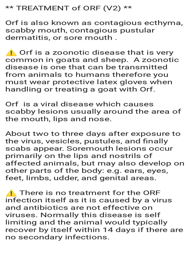 Orf Treatment in Animal PDF Medical Specialties Veterinary Medicine