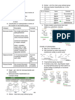 Biochem Carbohydrates