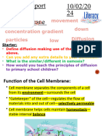 Cell Membrane and Cell Transport