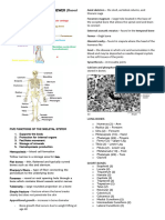 The Skeletal System Reviewer