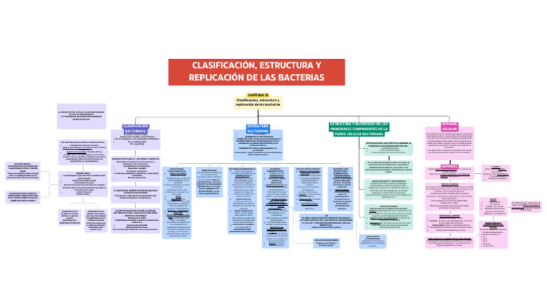 Bacterias Gram Positivas y Negativas | PDF | Las bacterias | Bacterias ...