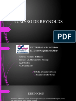 Numero de Reynolds