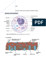 01 Introduction To Biochemistry