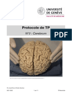 Protocole TP2