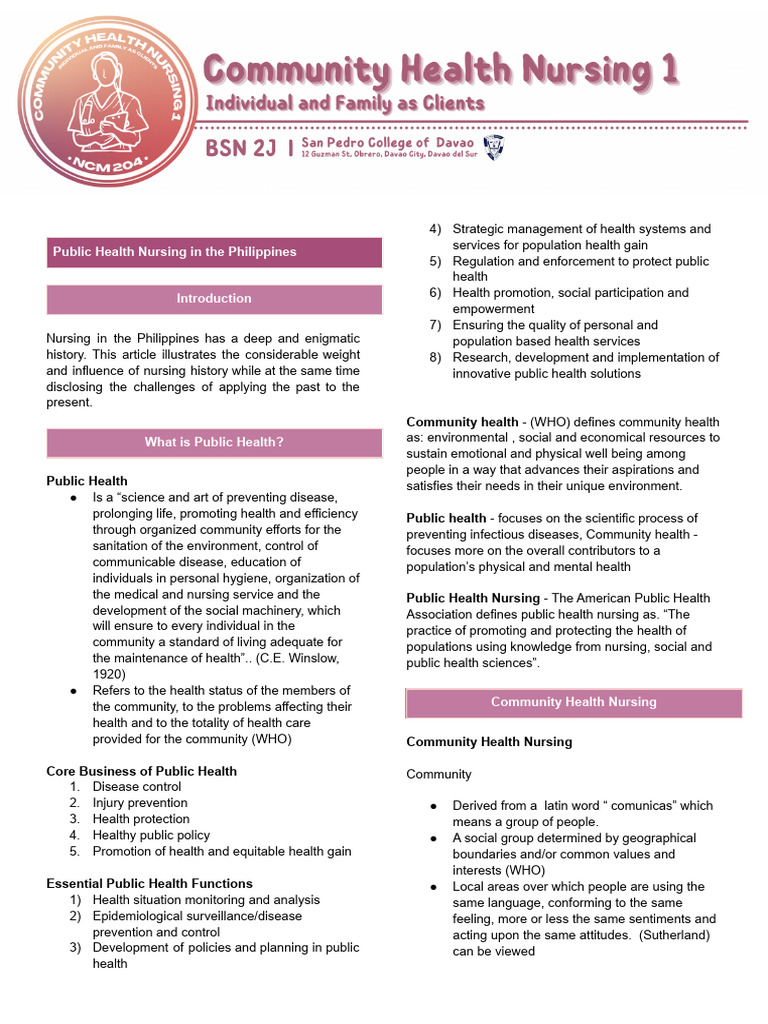 Public Health Nursing in the Philippines | PDF | Public Health | Health ...