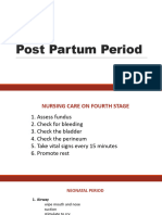 Post-Partum 230908 134119-1