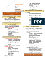 Organization of The Nervous System