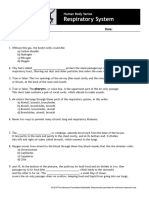 Respiratory Quiz