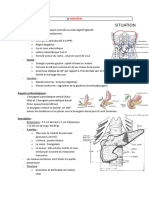 04 - Pancreas