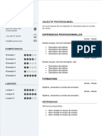 Exemple CV Clair 1