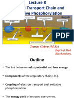 1 Electron Transport Chain & Oxidative Phosphorylation by TG, 2021