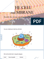 The Cell Membrane