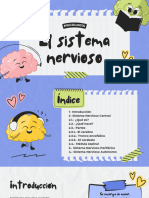 El Sistema Nervioso