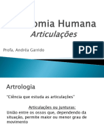 Articulação (Alunos)