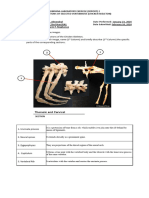 Joints of pelvic girdle - e-Anatomy - IMAIOS