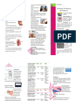 Triptico Toxoide Tetanico 8