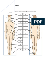 Aula 36 - Partes Do Corpo 2