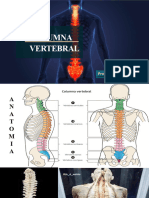 Clase Columna