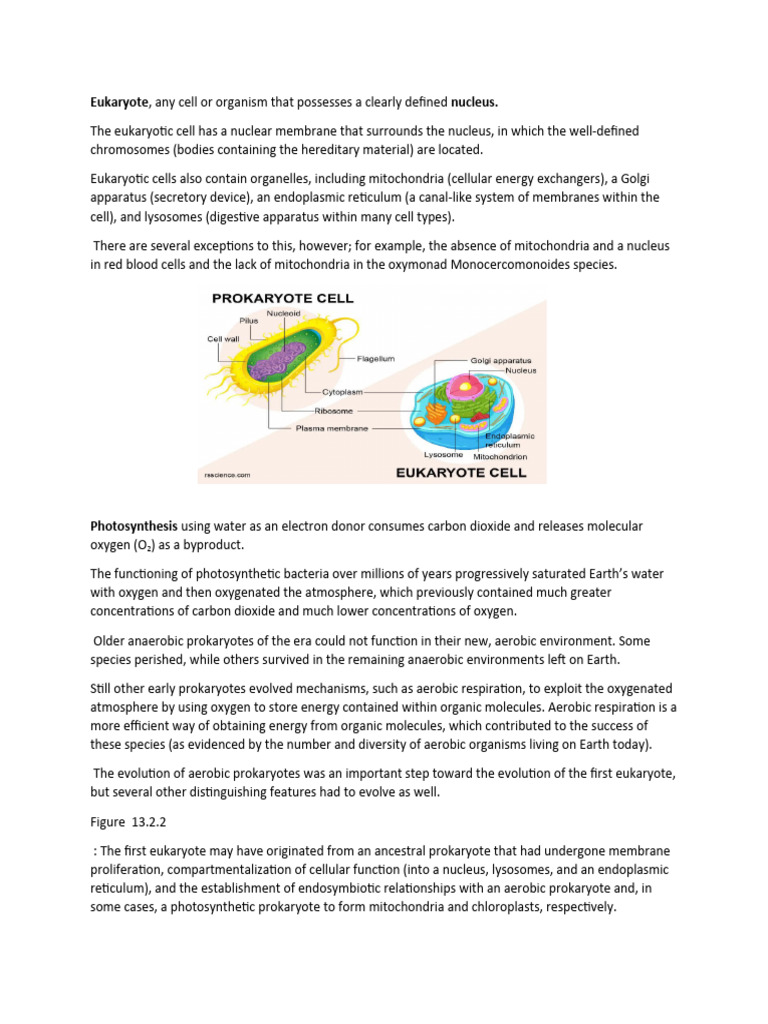 Eukaryote Biology | Download Free PDF | Eukaryotes | Cell (Biology)