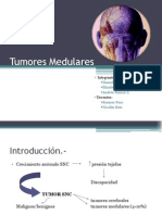 Tumores Medulares