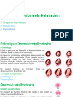 Desenvolvimento Embrionario