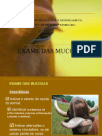 Semiologia Do Exame Das Mucosas