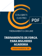 Planilha Academia Intermediaria 3b