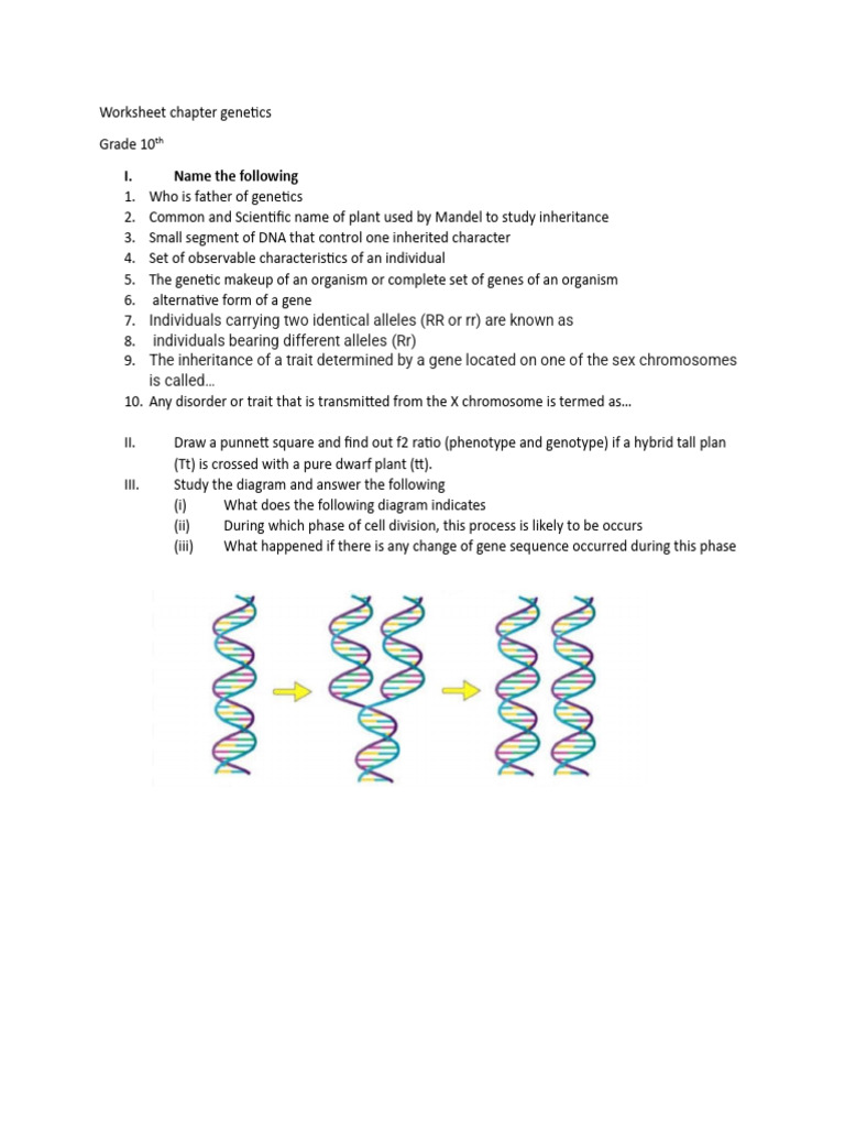 Chapter 3 Bio Worksheet | PDF