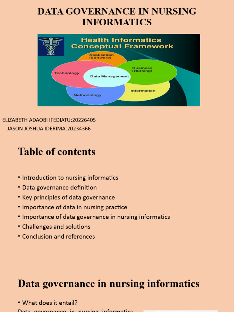 Group 21-DATA GOVERNANCE IN NURSING INFORMATICS | PDF | Health ...