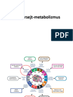 Tumorsejt Metabolizmus