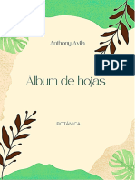 Album de Hojas