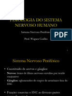 Aula Fisiologia 3