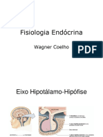 Fisiologia Endócrina: Wagner Coelho