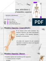 CLASE 4 - Estructuras Oseas, Articulares y Musculares Del Miembro Superior