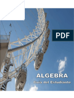 Guía de Álgebra - 2024