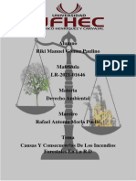 Causas Y Consecuencias de Los Incendios Forestales en La República Dominicana.