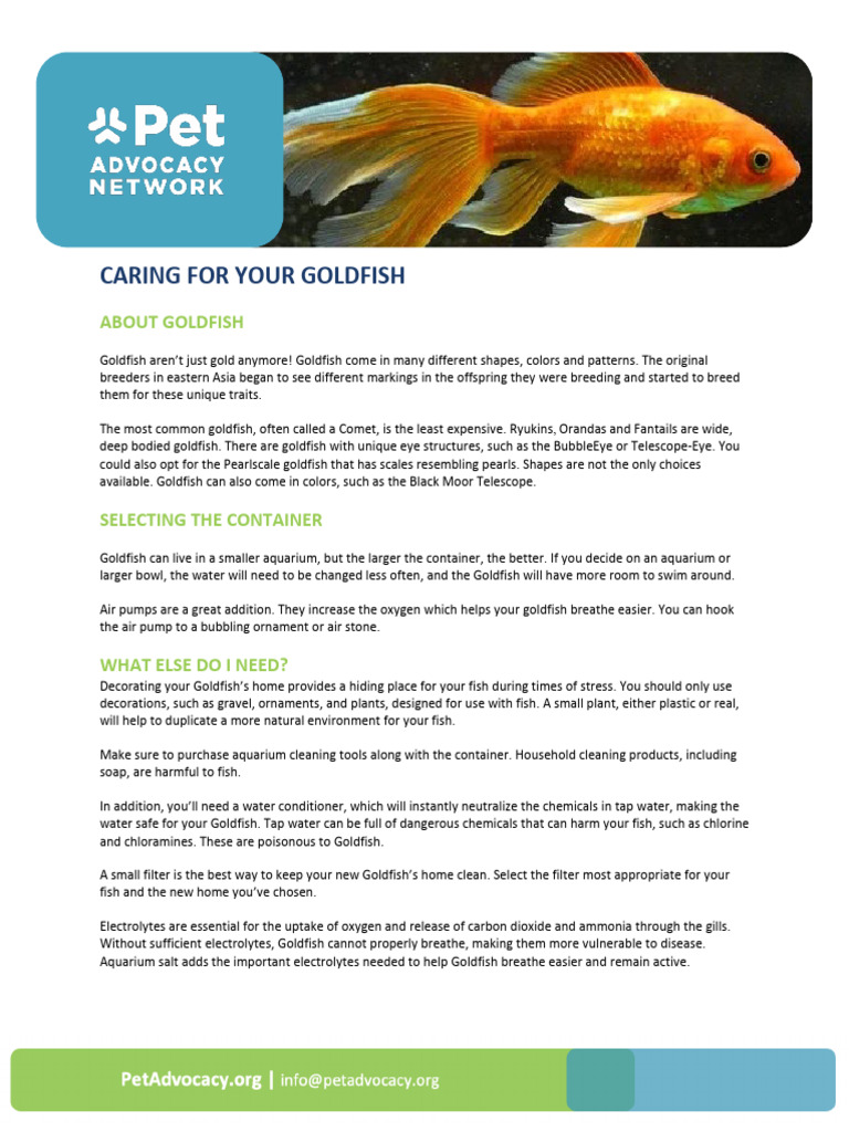 Goldfish Care: Setup & Maintenance Guide | PDF | Aquarium