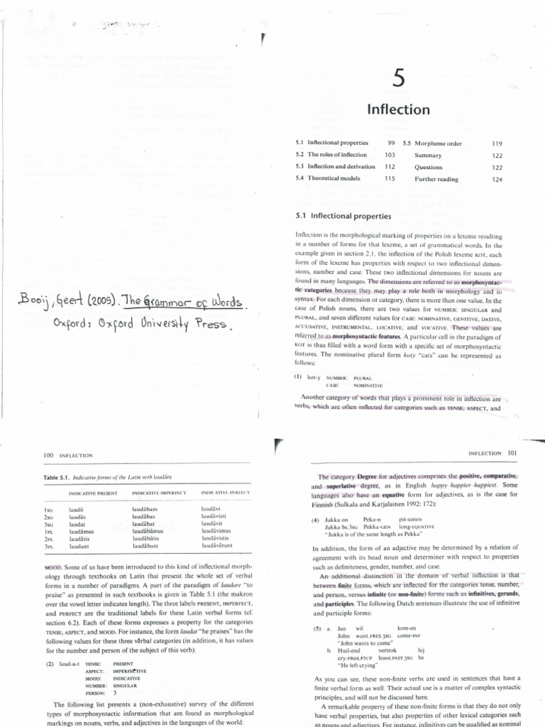 Geert Booij - Inflection08022024 | PDF