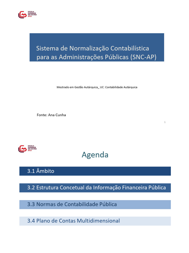 sistema-de-normaliza-o-contabil-stica-snc-ap-pdf-patrim-nio-de