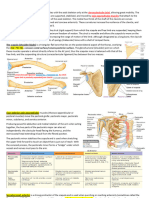 Upper Limb