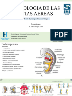 Anatomia Cabeza Y Cuello QX - CPG (Autoguardado)