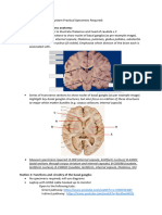 FHN Practical 9 - Basal Ganglia and Limbic System Practical Specimens Required