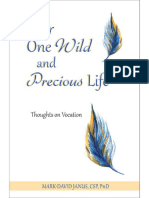 Your One Wild and Precious Life Thoughts On Vocation Mark David