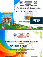 LAC Certificate of Participation