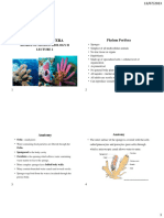BIO404-Lecture 2 Phylum Porifera