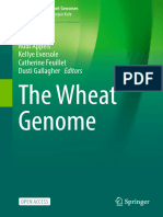 The Wheat Genome