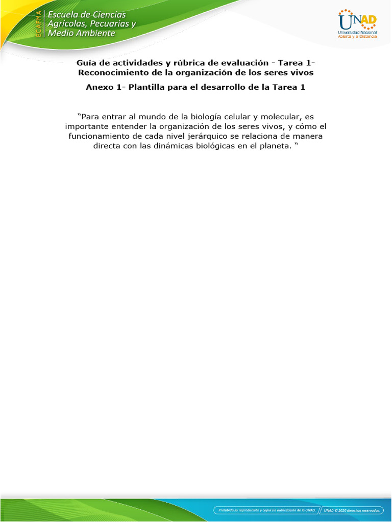 Organizador Visual: Composición de Seres Vivos | PDF | Organismos ...