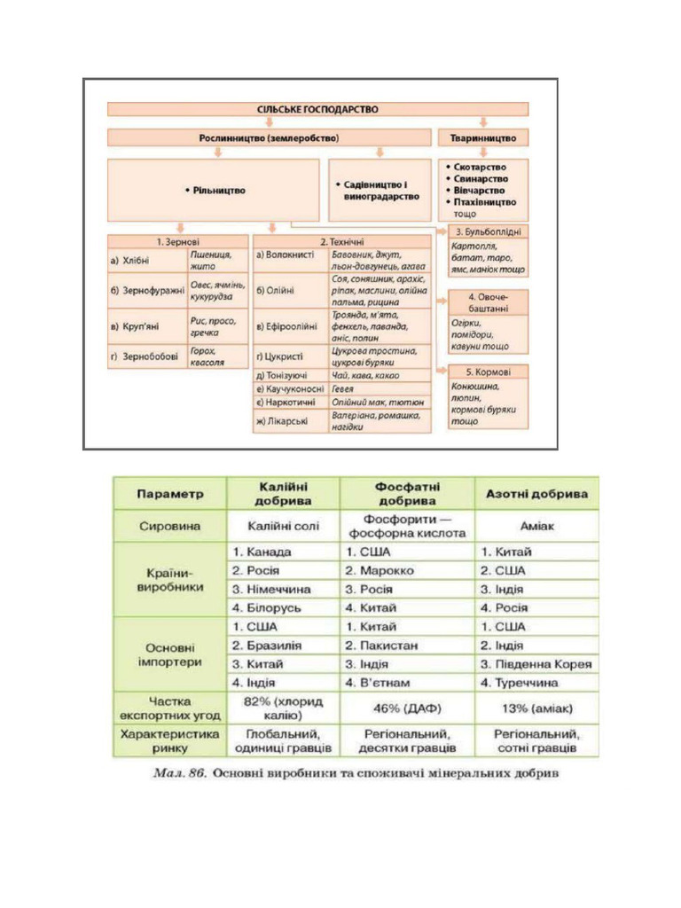 Новый документ | PDF