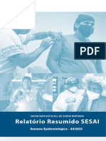 Relatório de Ações SESAI - SE 44-22